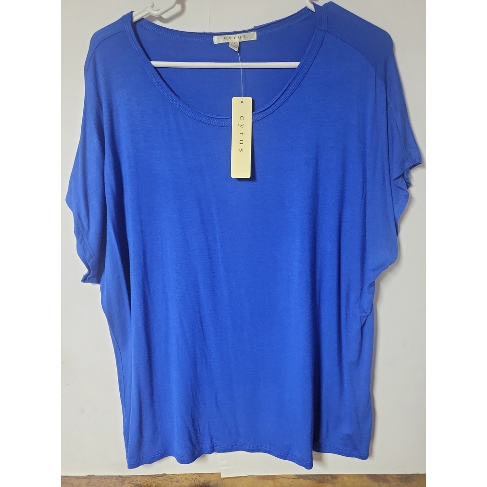 Cyrus L Blue Dolman Sleeve Scoop Neck Top Minimalist Casual Basics